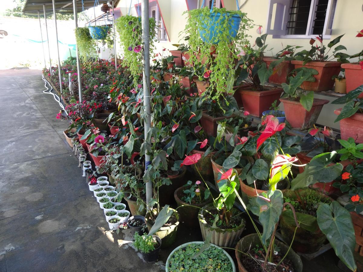 Cauvery Suites Madikeri Buitenkant foto